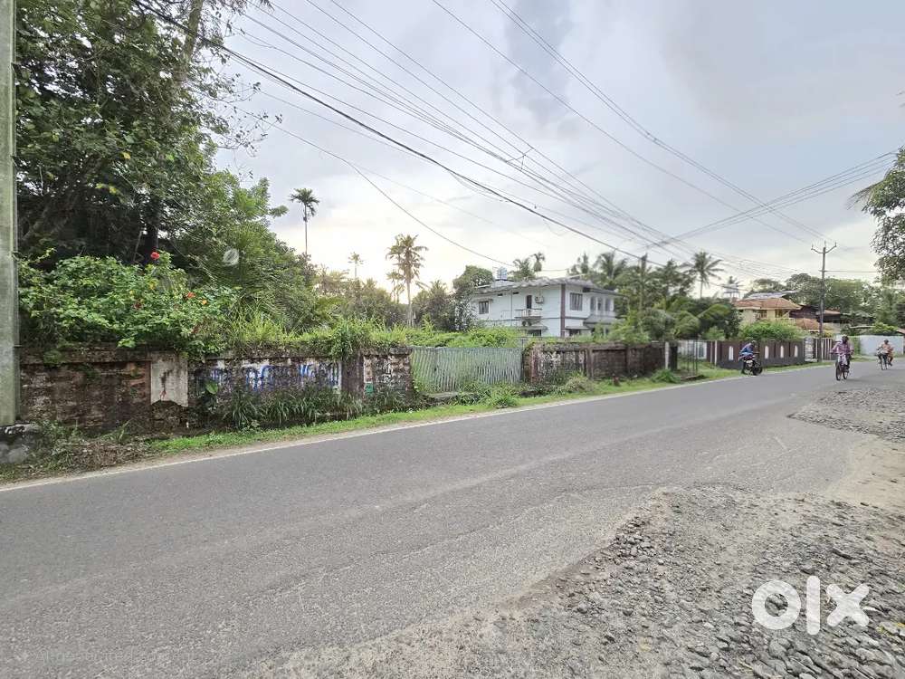 12 CENT ORGINAL LAND FOR SALE IN NORTH PARAVUR  TOWN