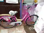 Lady Bird cycle