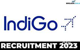 Huge vacancy open in indigo Airlines