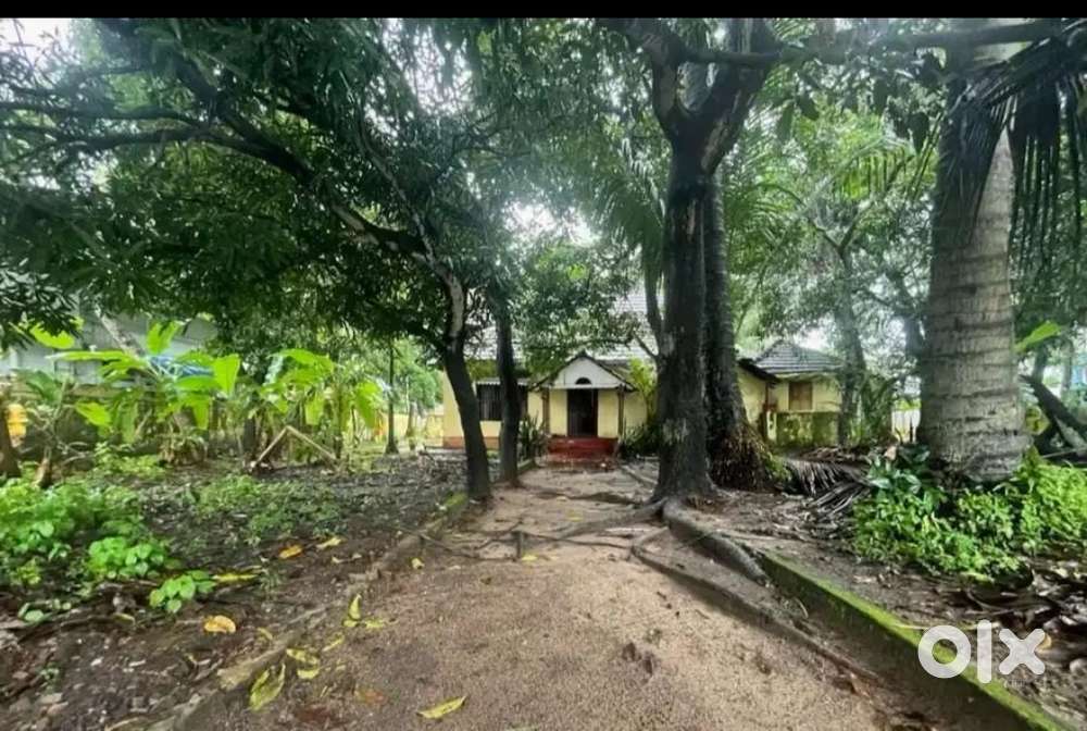 10cents plot  rent at  edapally toll junction