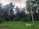 Plot for sale