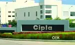 Pharma company vacancy Bhagwanpur
