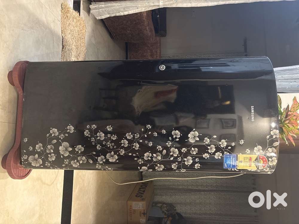 Samsung single door fridge model - RR1914BCABX/TL , 4 star