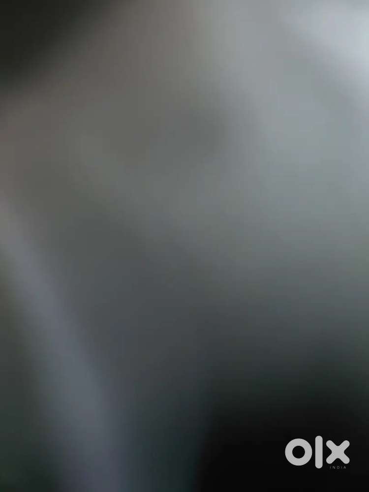 Accountant male/female