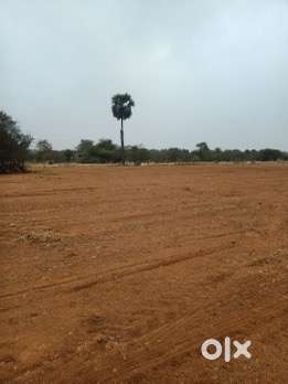 Land for sale 175 cents