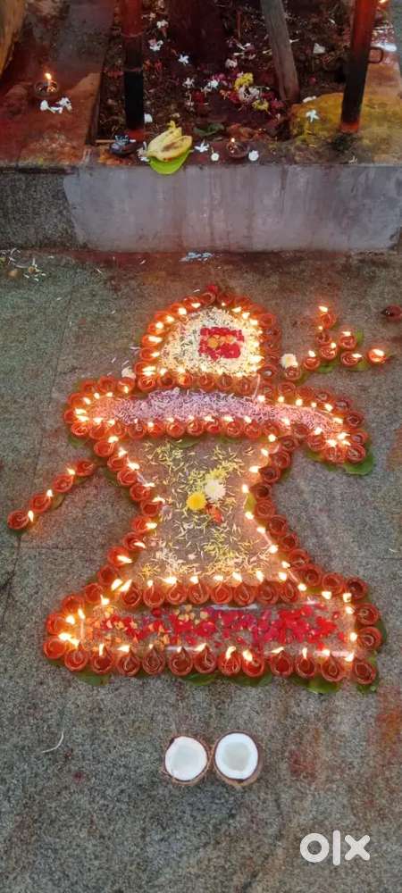 300 gajam plot near collectrate