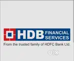 HDB FINANCIAL SERVICES