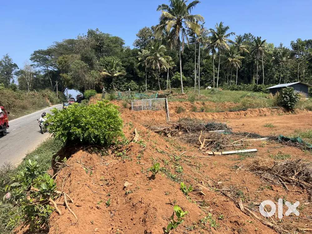 HIGHWAY FRONTAGE BUILDING PLOTS NEAR PANAMARAM