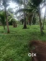 Selling land and  plots