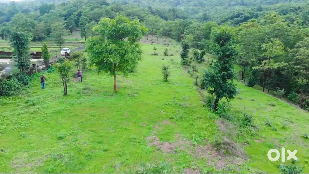 Riverside plot...