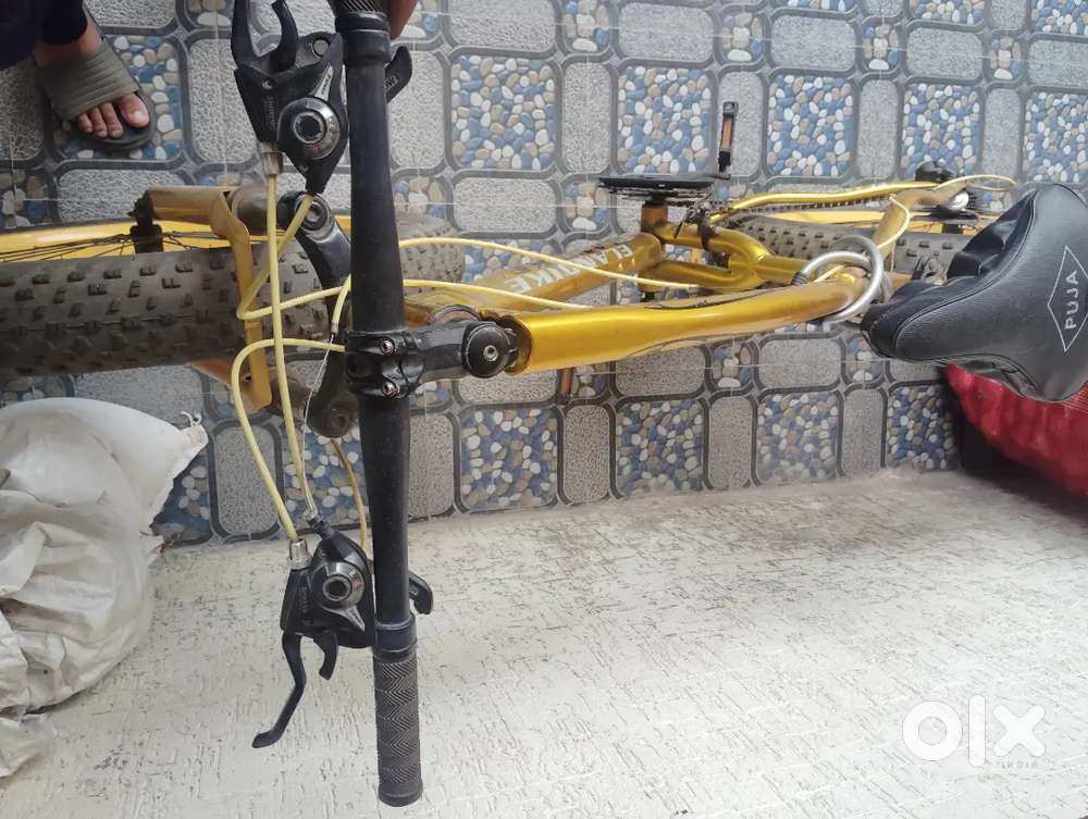 Gold colour and 21 gerys