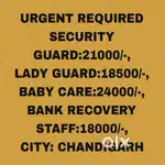 All Security Guards Job chandigarh 3