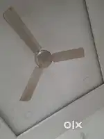 Fan [ ceiling fan-2]