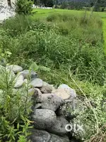 Bijness land