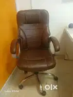Director chair