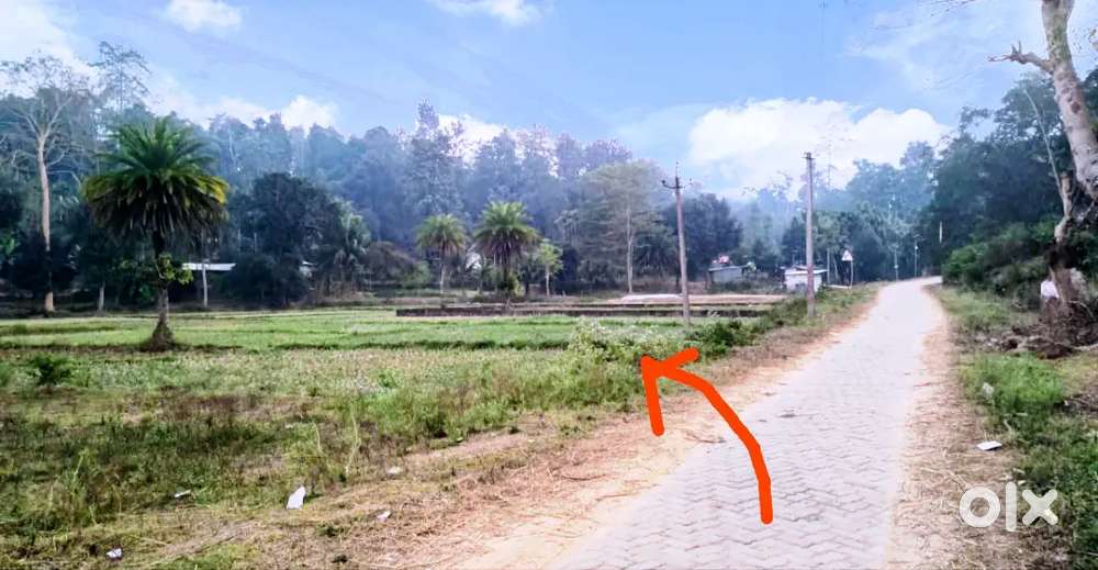 Meyadi Patta Road Side Land For Sale At Pathorpani, LUMDING