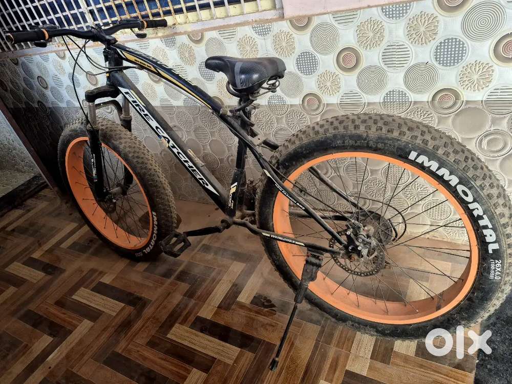 Fire catcher fat bike