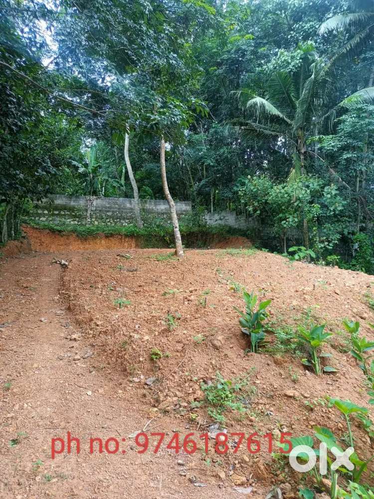 URGENT SALE: 12 cent plot near valiiyarathala