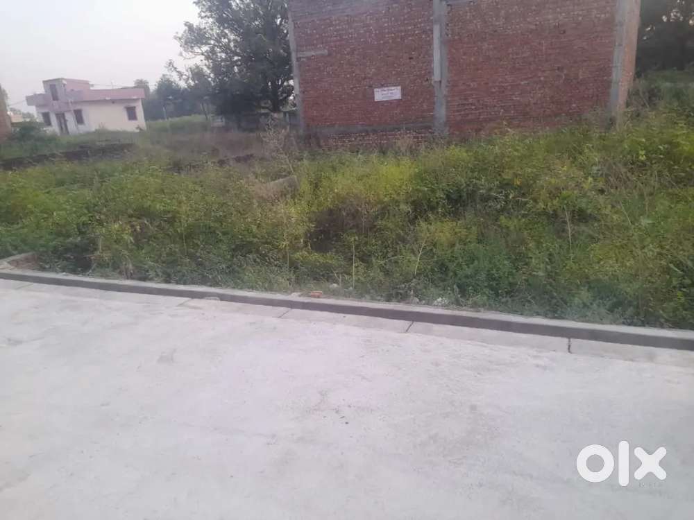 300 gaj plot for sale Tubewell Colony