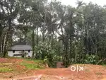 4.5Acres Agricultural with tiled house forsale at kudripadav/kinnigoli
