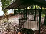 DOG KENNEL BIG SIZE