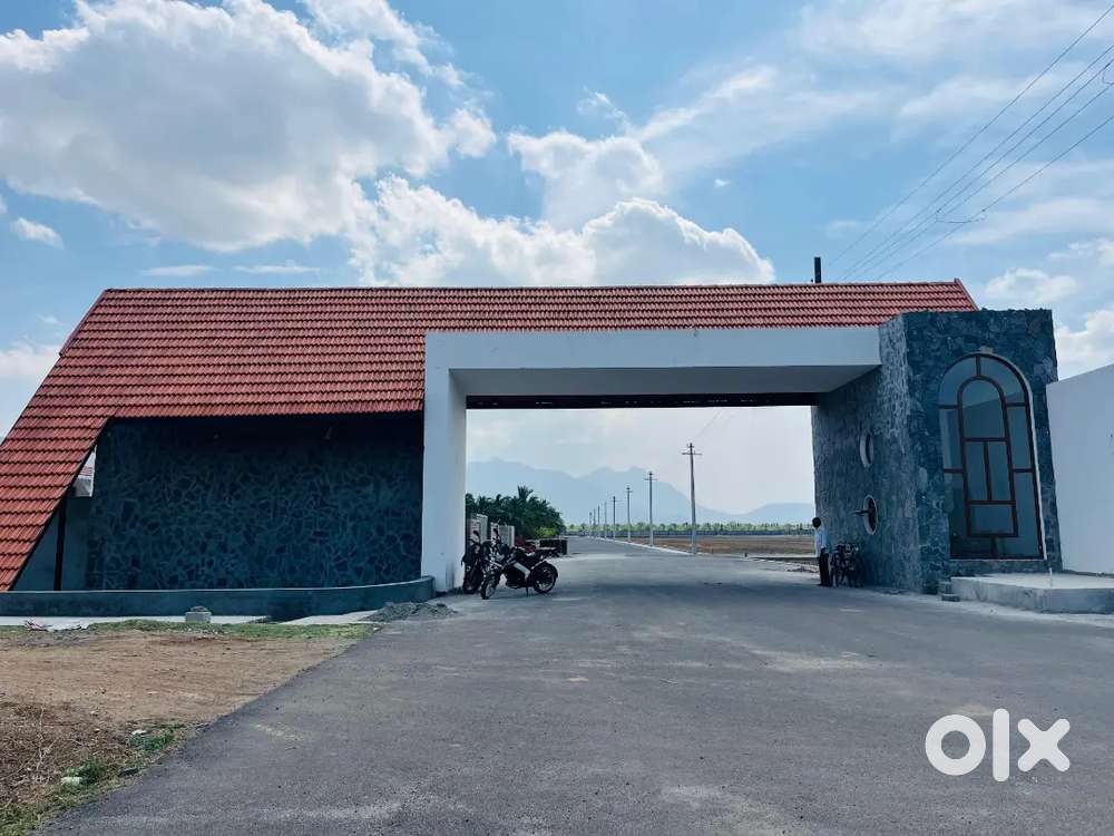 North East Corner Plots For sale - Farm plots 21 Cents