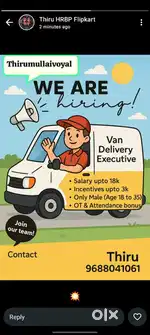 Van Delivery Executive