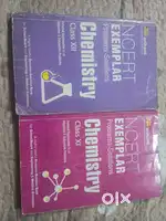NCERT EXEMPLAR