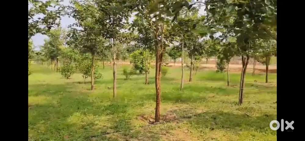 ONE AND ONLY SEMMARAM FARM LAND  in Tamil Nadu with GOVT Licence