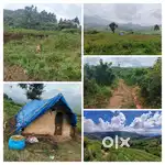 52 cents step farm land @ Kumbur, Mannavanur