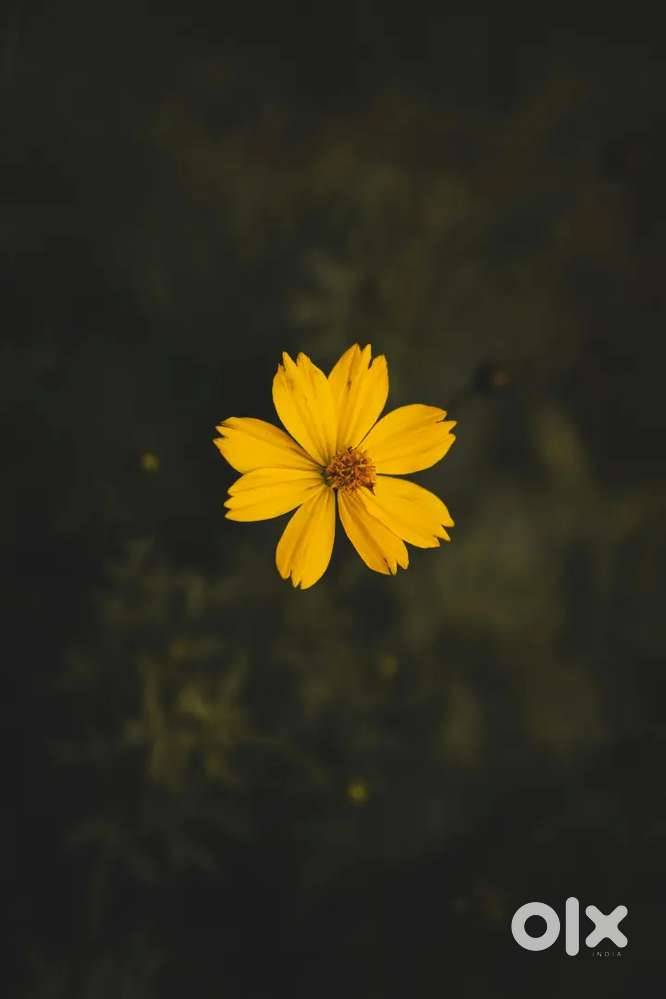 Sale staff in electrical and plumbing section