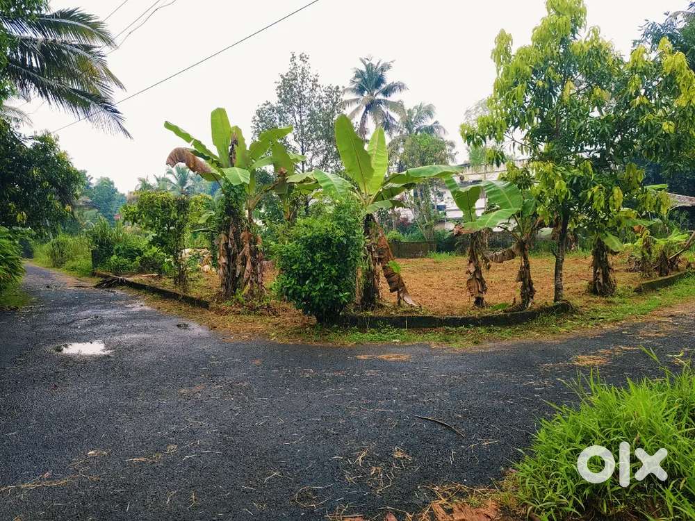 6 cnt plot Kakkanad nr Kangarappady 8.75 pr cnt Negotiable