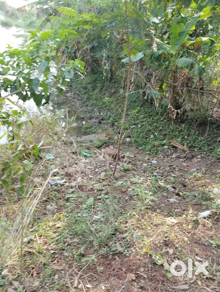 Sakhigopal Puri Best for farm house and investment