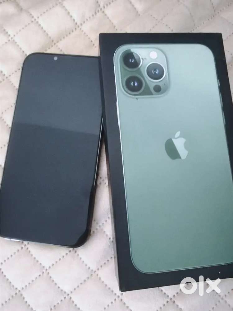 Iphone 13 Pro Max 256 GB Alpine Green color
