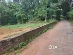 COMMERCIAL & RESIDENTIAL PLOT MULANTHURUTHY