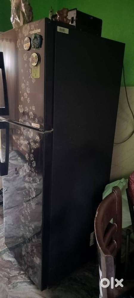 Double store fridge