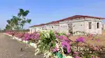 FARM PLOT FOR SALE AT NARAYANKHED, SANGAREDDY.