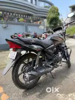 honda shine 2013 model in brand new condition