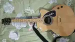 Godson company Best 6 strings Guitar