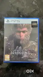 Black Myth Wukong PS5