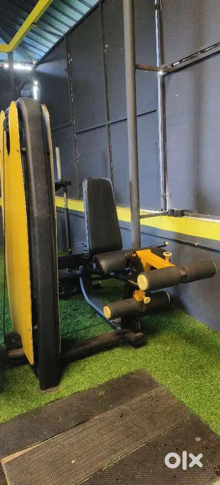 Leg extension & Liver squat