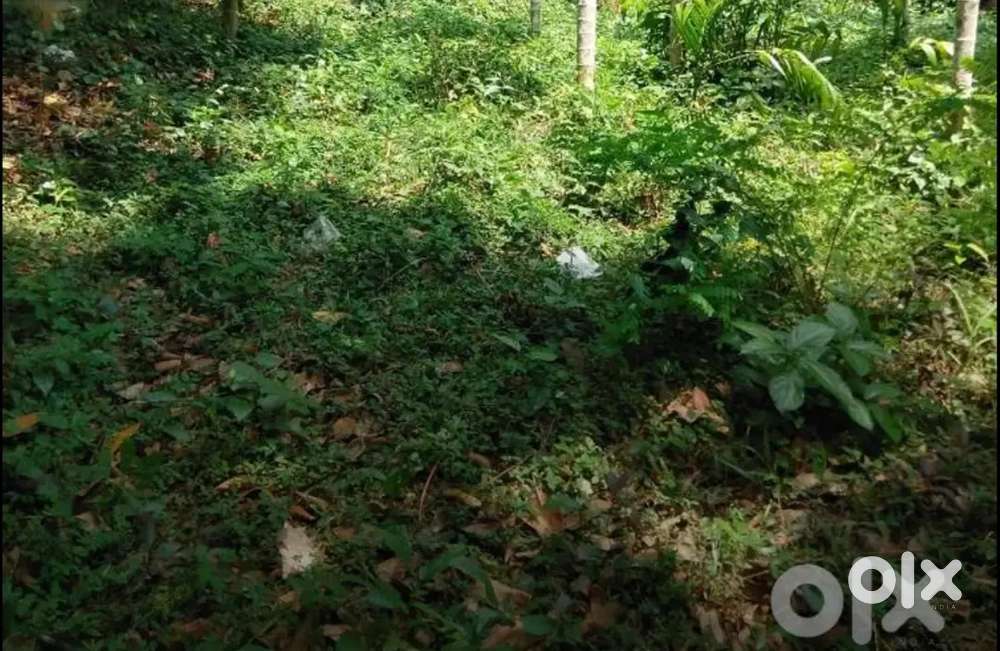 24 cent plot for sale