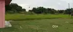 2 Bigha Miyadi Patta Land for sale... Borjalenga put Taranathpur area
