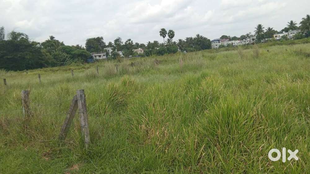 Gorgeous projects for house plots are available at Kanjikode