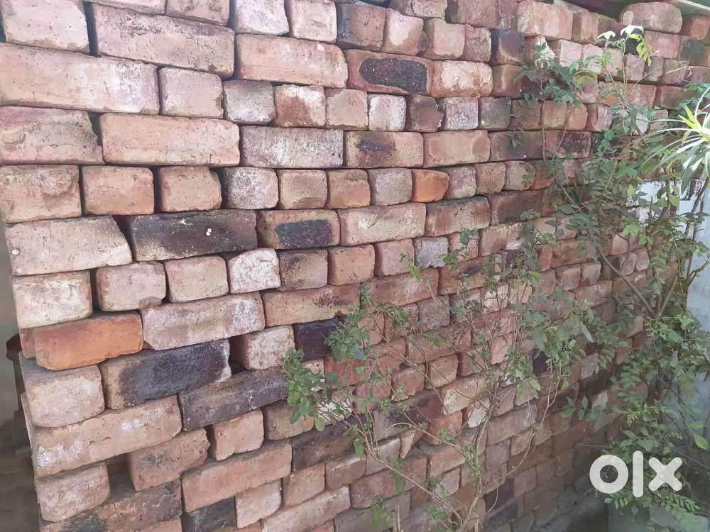 Brick Bricks