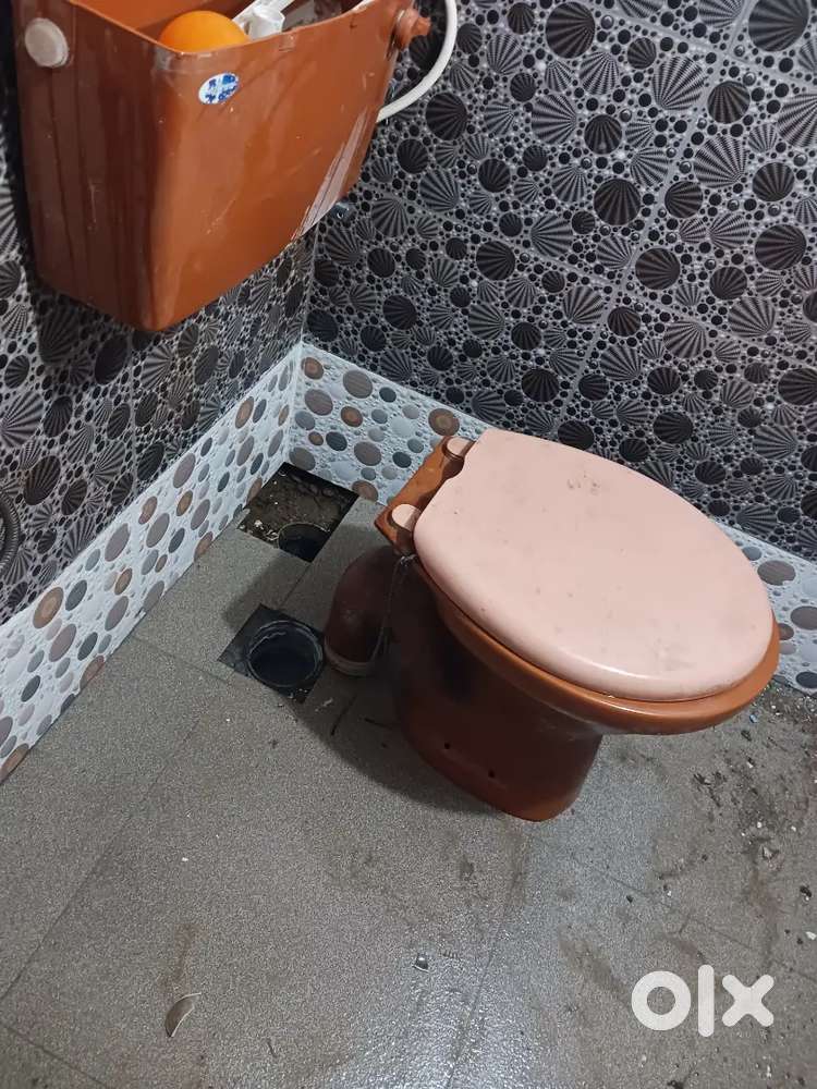 Urgently looking for a male room partner.