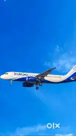 IndiGo Airlines Jobs: Hiring for Airport Ground Staff & AOCS Vacancy
