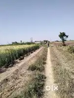 જમીન વેચવા બાબતે