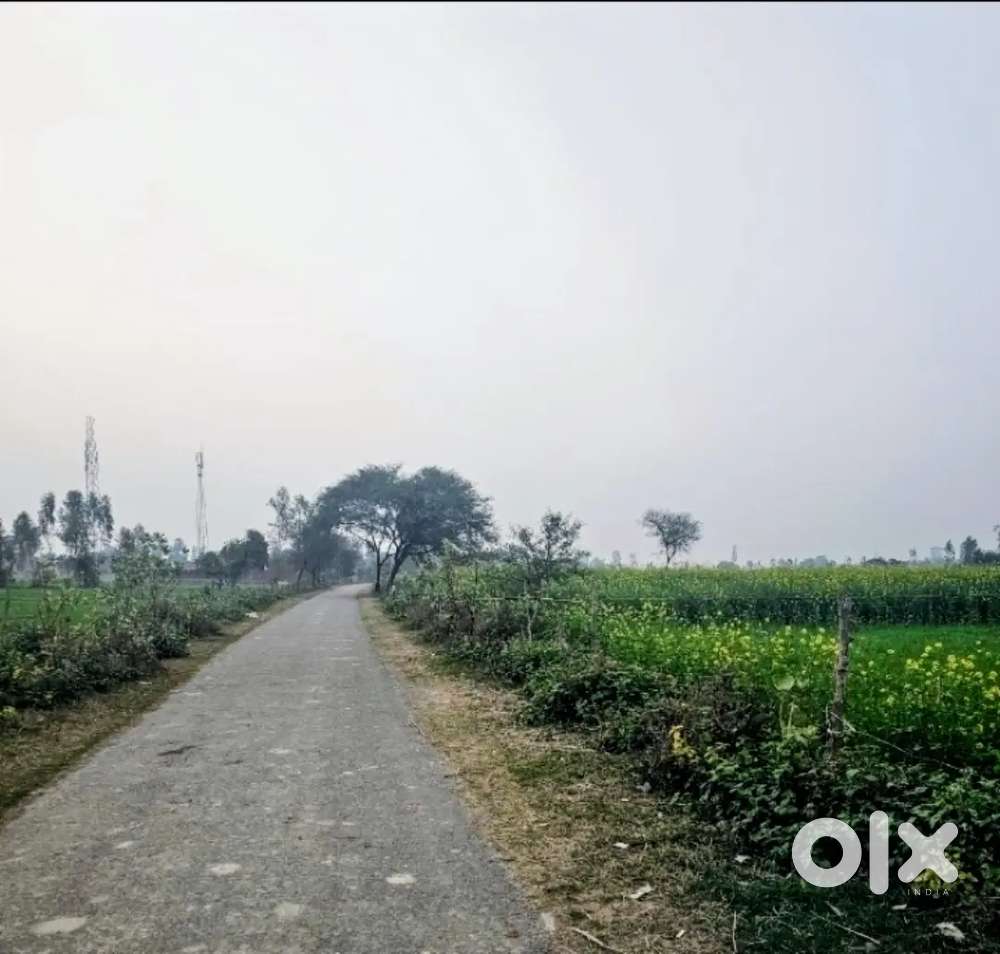 Agriculture  Land for sale in cheap price in Uttar Pradesh 1.50 lakh