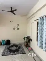 Need A Roommate